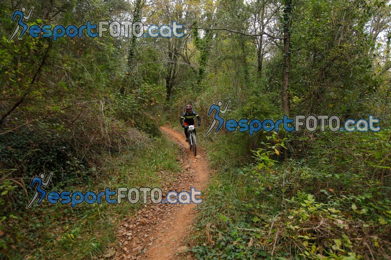 Esport Foto - Esportfoto .CAT - Fotos de VolcanoLimits Bike 2013 - Dorsal [367] -   1384125796_01401.jpg