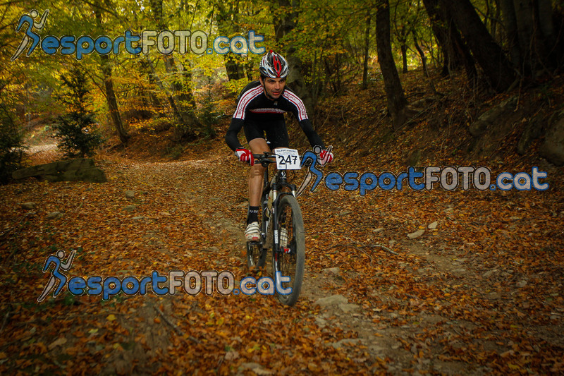 Esport Foto - Esportfoto .CAT - Fotos de VolcanoLimits Bike 2013 - Dorsal [247] -   1384125937_4686.jpg