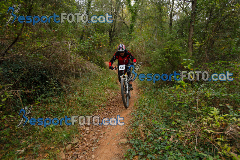 Esport Foto - Esportfoto .CAT - Fotos de VolcanoLimits Bike 2013 - Dorsal [447] -   1384126222_01428.jpg