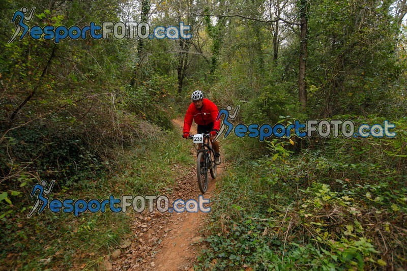 Esport Foto - Esportfoto .CAT - Fotos de VolcanoLimits Bike 2013 - Dorsal [239] -   1384126337_01433.jpg
