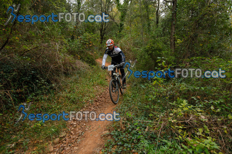Esport Foto - Esportfoto .CAT - Fotos de VolcanoLimits Bike 2013 - Dorsal [175] -   1384127849_01487.jpg