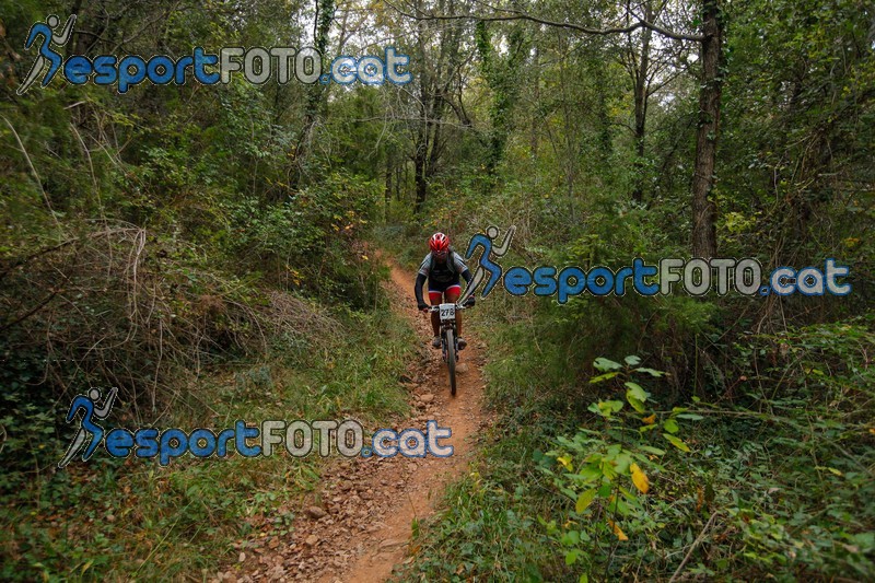 Esport Foto - Esportfoto .CAT - Fotos de VolcanoLimits Bike 2013 - Dorsal [278] -   1384129243_01504.jpg
