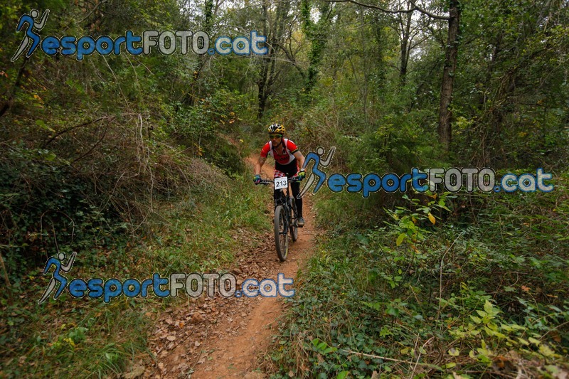 Esport Foto - Esportfoto .CAT - Fotos de VolcanoLimits Bike 2013 - Dorsal [213] -   1384129274_01518.jpg
