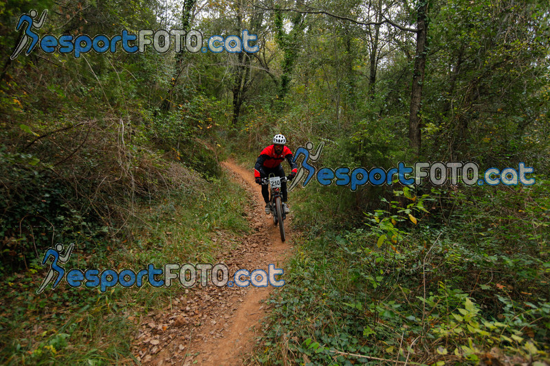 Esport Foto - Esportfoto .CAT - Fotos de VolcanoLimits Bike 2013 - Dorsal [210] -   1384129308_01534.jpg