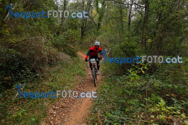 Esport Foto - Esportfoto .CAT - Fotos de VolcanoLimits Bike 2013 - Dorsal [210] -   1384129310_01535.jpg