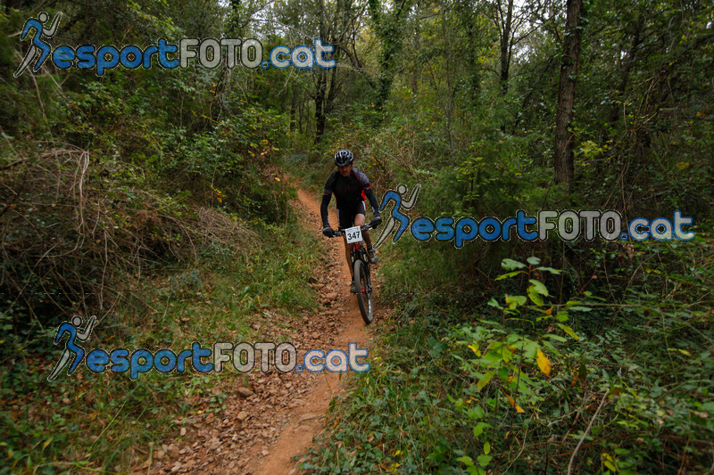 Esport Foto - Esportfoto .CAT - Fotos de VolcanoLimits Bike 2013 - Dorsal [347] -   1384129315_01537.jpg