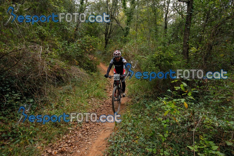 Esport Foto - Esportfoto .CAT - Fotos de VolcanoLimits Bike 2013 - Dorsal [203] -   1384136404_01685.jpg