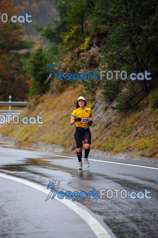 Esport Foto - Esportfoto .CAT - Fotos de XXXV Campionat Internacional d'Atletisme de Fons del Ripollès  (Mitja Marató) - Dorsal [309] -   1384711308_02295.jpg