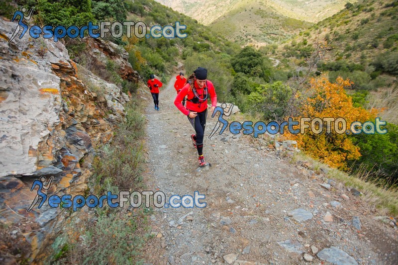 Esport Foto - Esportfoto .CAT - Fotos de III Colera Xtrem - I Trail 12K - Dorsal [0] -   1385315284_02831.jpg
