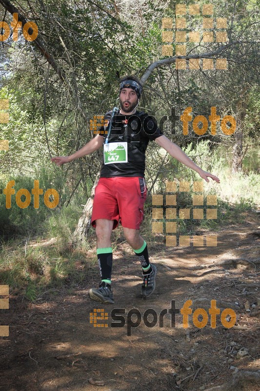 Esport Foto - Esportfoto .CAT - Fotos de Vilatrail 2014 - Dorsal [447] -   1398625069_1378.jpg