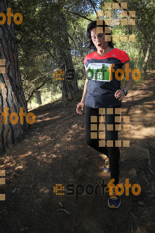 Esport Foto - Esportfoto .CAT - Fotos de Vilatrail 2014 - Dorsal [256] -   1398625956_1803.jpg