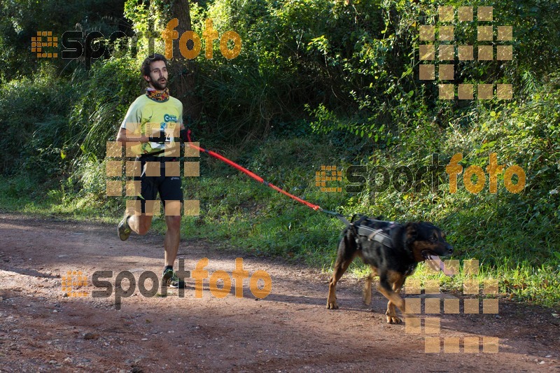 Esport Foto - Esportfoto .CAT - Fotos de II Mitja Marato de Muntanya i Canicross Eramprunyà - Dorsal [454] -   1391364245_BX0C0234.jpg