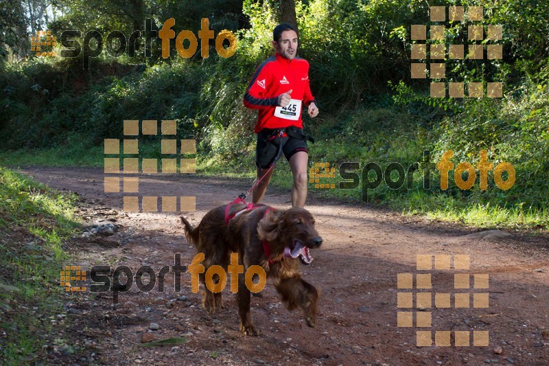 Esport Foto - Esportfoto .CAT - Fotos de II Mitja Marato de Muntanya i Canicross Eramprunyà - Dorsal [445] -   1391364247_BX0C0235.jpg