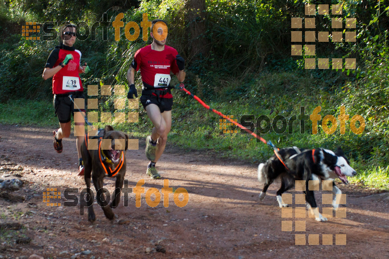 Esport Foto - Esportfoto .CAT - Fotos de II Mitja Marato de Muntanya i Canicross Eramprunyà - Dorsal [443] -   1391364252_BX0C0237.jpg