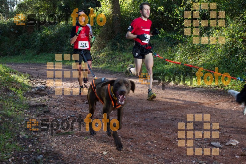 Esport Foto - Esportfoto .CAT - Fotos de II Mitja Marato de Muntanya i Canicross Eramprunyà - Dorsal [443] -   1391364254_BX0C0238.jpg