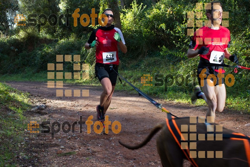 Esport Foto - Esportfoto .CAT - Fotos de II Mitja Marato de Muntanya i Canicross Eramprunyà - Dorsal [443] -   1391364257_BX0C0239.jpg