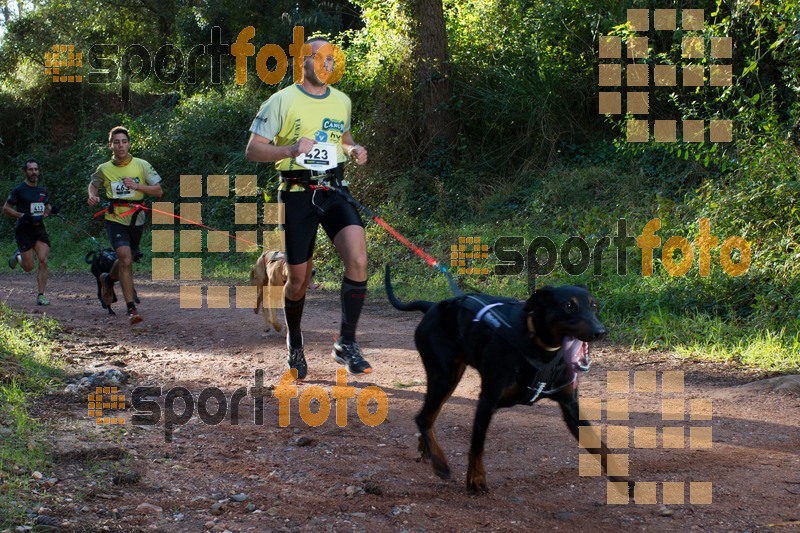 Esport Foto - Esportfoto .CAT - Fotos de II Mitja Marato de Muntanya i Canicross Eramprunyà - Dorsal [423] -   1391364262_BX0C0241.jpg