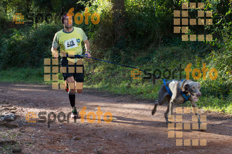 Esport Foto - Esportfoto .CAT - Fotos de II Mitja Marato de Muntanya i Canicross Eramprunyà - Dorsal [425] -   1391364283_BX0C0251.jpg