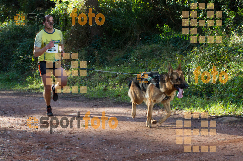 Esport Foto - Esportfoto .CAT - Fotos de II Mitja Marato de Muntanya i Canicross Eramprunyà - Dorsal [434] -   1391364292_BX0C0255.jpg