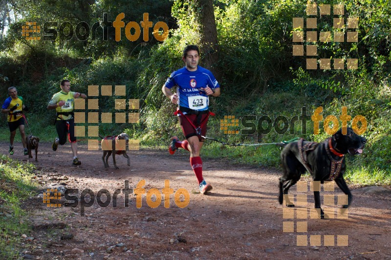 Esport Foto - Esportfoto .CAT - Fotos de II Mitja Marato de Muntanya i Canicross Eramprunyà - Dorsal [433] -   1391364298_BX0C0258.jpg