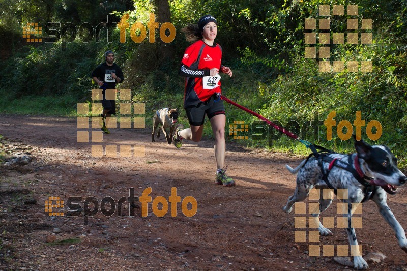 Esport Foto - Esportfoto .CAT - Fotos de II Mitja Marato de Muntanya i Canicross Eramprunyà - Dorsal [427] -   1391364319_BX0C0268.jpg