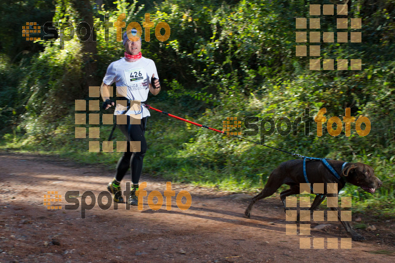 Esport Foto - Esportfoto .CAT - Fotos de II Mitja Marato de Muntanya i Canicross Eramprunyà - Dorsal [426] -   1391364325_BX0C0271.jpg