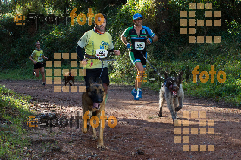 Esport Foto - Esportfoto .CAT - Fotos de II Mitja Marato de Muntanya i Canicross Eramprunyà - Dorsal [482] -   1391364341_BX0C0278.jpg