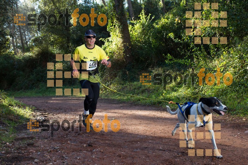 Esport Foto - Esportfoto .CAT - Fotos de II Mitja Marato de Muntanya i Canicross Eramprunyà - Dorsal [446] -   1391364407_BX0C0308.jpg