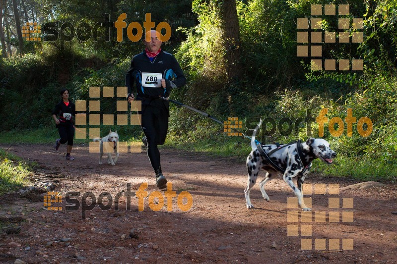 Esport Foto - Esportfoto .CAT - Fotos de II Mitja Marato de Muntanya i Canicross Eramprunyà - Dorsal [480] -   1391364461_BX0C0334.jpg