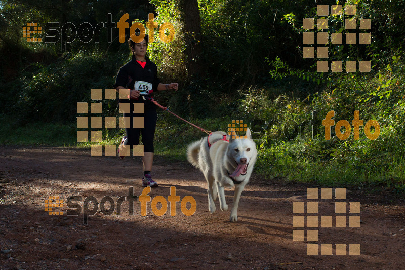Esport Foto - Esportfoto .CAT - Fotos de II Mitja Marato de Muntanya i Canicross Eramprunyà - Dorsal [450] -   1391364465_BX0C0336.jpg