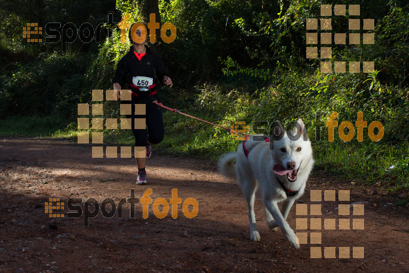 Esport Foto - Esportfoto .CAT - Fotos de II Mitja Marato de Muntanya i Canicross Eramprunyà - Dorsal [450] -   1391364467_BX0C0337.jpg