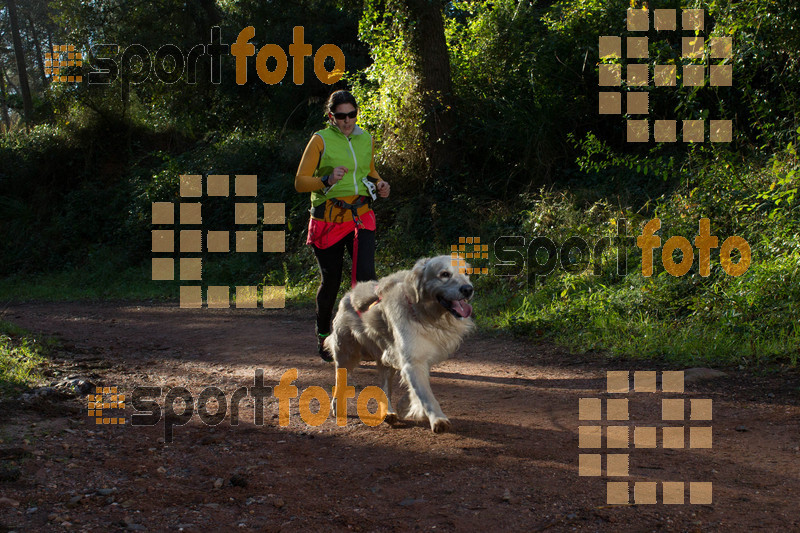 Esport Foto - Esportfoto .CAT - Fotos de II Mitja Marato de Muntanya i Canicross Eramprunyà - Dorsal [0] -   1391364472_BX0C0339.jpg