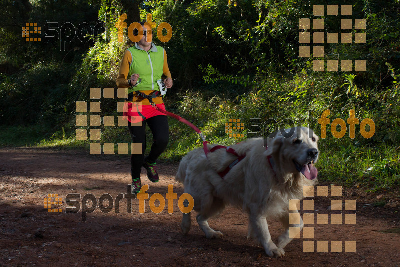 Esport Foto - Esportfoto .CAT - Fotos de II Mitja Marato de Muntanya i Canicross Eramprunyà - Dorsal [0] -   1391364474_BX0C0340.jpg