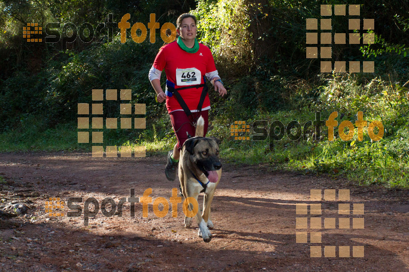 Esport Foto - Esportfoto .CAT - Fotos de II Mitja Marato de Muntanya i Canicross Eramprunyà - Dorsal [462] -   1391364478_BX0C0342.jpg