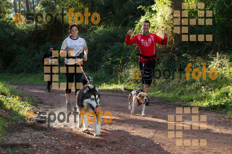 Esport Foto - Esportfoto .CAT - Fotos de II Mitja Marato de Muntanya i Canicross Eramprunyà - Dorsal [0] -   1391364491_BX0C0348.jpg