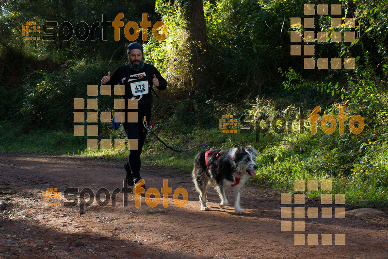 Esport Foto - Esportfoto .CAT - Fotos de II Mitja Marato de Muntanya i Canicross Eramprunyà - Dorsal [473] -   1391364502_BX0C0354.jpg