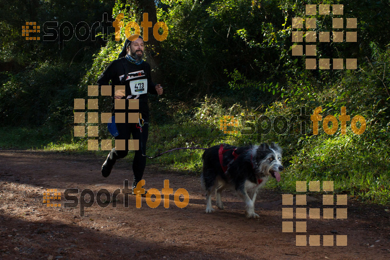 Esport Foto - Esportfoto .CAT - Fotos de II Mitja Marato de Muntanya i Canicross Eramprunyà - Dorsal [473] -   1391364504_BX0C0355.jpg