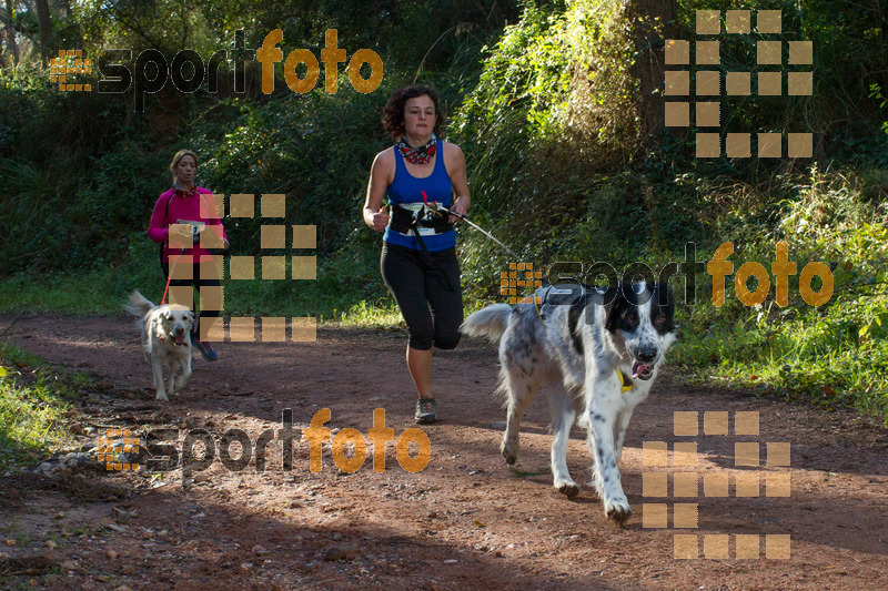 Esport Foto - Esportfoto .CAT - Fotos de II Mitja Marato de Muntanya i Canicross Eramprunyà - Dorsal [428] -   1391364513_BX0C0359.jpg