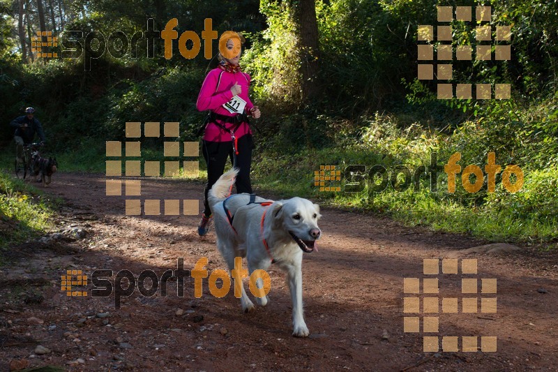 Esport Foto - Esportfoto .CAT - Fotos de II Mitja Marato de Muntanya i Canicross Eramprunyà - Dorsal [411] -   1391364524_BX0C0364.jpg