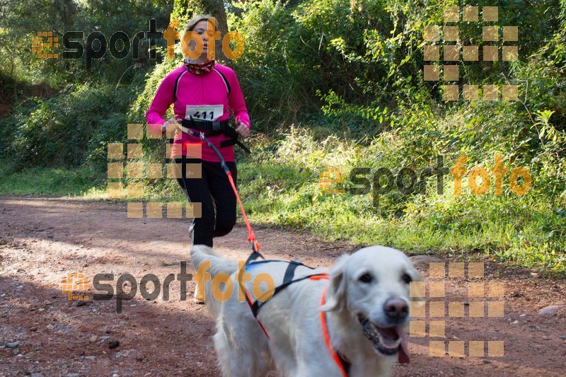 Esport Foto - Esportfoto .CAT - Fotos de II Mitja Marato de Muntanya i Canicross Eramprunyà - Dorsal [411] -   1391364529_BX0C0366.jpg