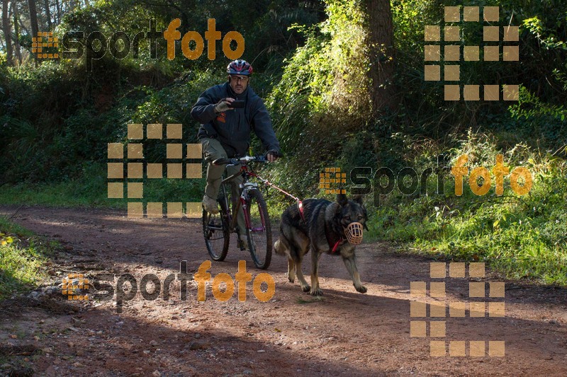Esport Foto - Esportfoto .CAT - Fotos de II Mitja Marato de Muntanya i Canicross Eramprunyà - Dorsal [0] -   1391364534_BX0C0368.jpg