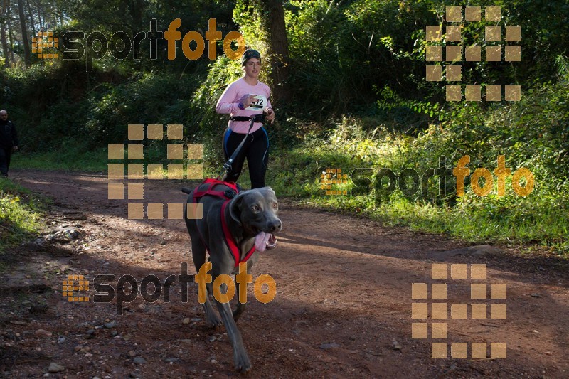 Esport Foto - Esportfoto .CAT - Fotos de II Mitja Marato de Muntanya i Canicross Eramprunyà - Dorsal [472] -   1391364543_BX0C0372.jpg