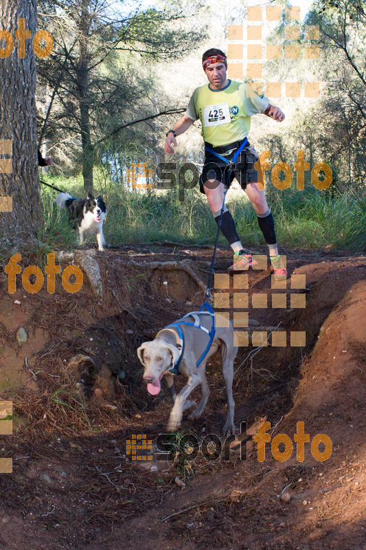 Esport Foto - Esportfoto .CAT - Fotos de II Mitja Marato de Muntanya i Canicross Eramprunyà - Dorsal [425] -   1391364631_BX0C0416.jpg