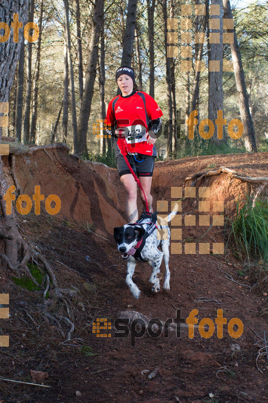 Esport Foto - Esportfoto .CAT - Fotos de II Mitja Marato de Muntanya i Canicross Eramprunyà - Dorsal [427] -   1391364665_BX0C0437.jpg