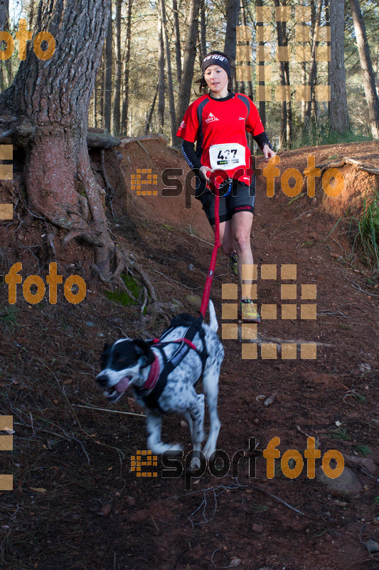 Esport Foto - Esportfoto .CAT - Fotos de II Mitja Marato de Muntanya i Canicross Eramprunyà - Dorsal [427] -   1391364667_BX0C0438.jpg