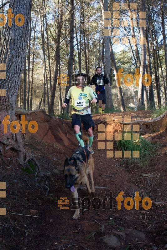 Esport Foto - Esportfoto .CAT - Fotos de II Mitja Marato de Muntanya i Canicross Eramprunyà - Dorsal [482] -   1391364681_BX0C0446.jpg