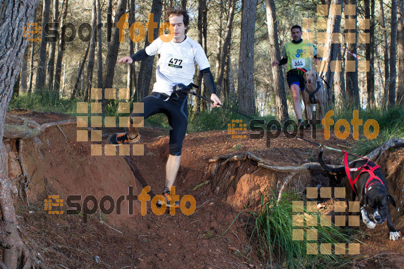 Esport Foto - Esportfoto .CAT - Fotos de II Mitja Marato de Muntanya i Canicross Eramprunyà - Dorsal [477] -   1391364695_BX0C0454.jpg