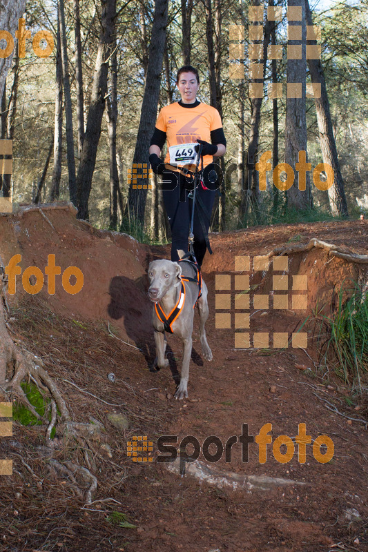 Esport Foto - Esportfoto .CAT - Fotos de II Mitja Marato de Muntanya i Canicross Eramprunyà - Dorsal [449] -   1391364747_BX0C0488.jpg