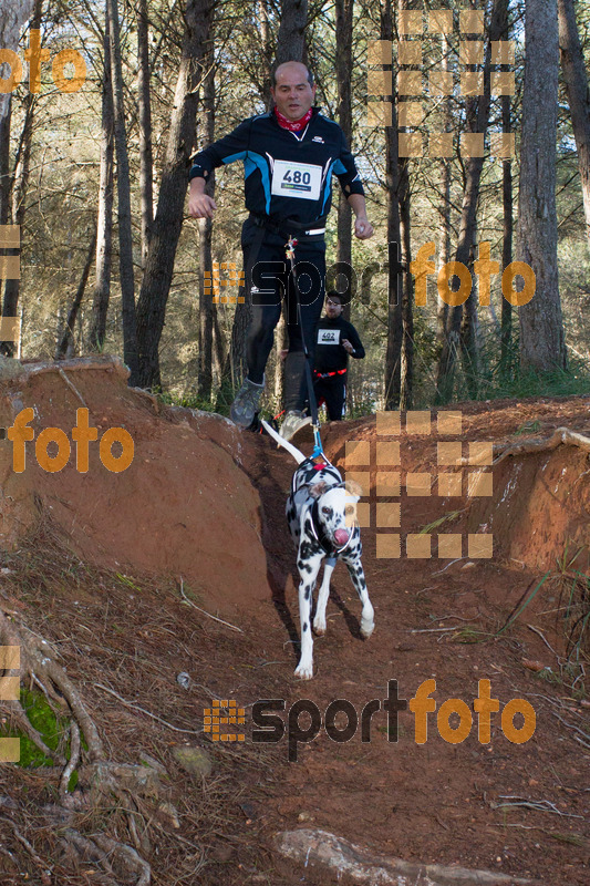 Esport Foto - Esportfoto .CAT - Fotos de II Mitja Marato de Muntanya i Canicross Eramprunyà - Dorsal [480] -   1391364761_BX0C0497.jpg
