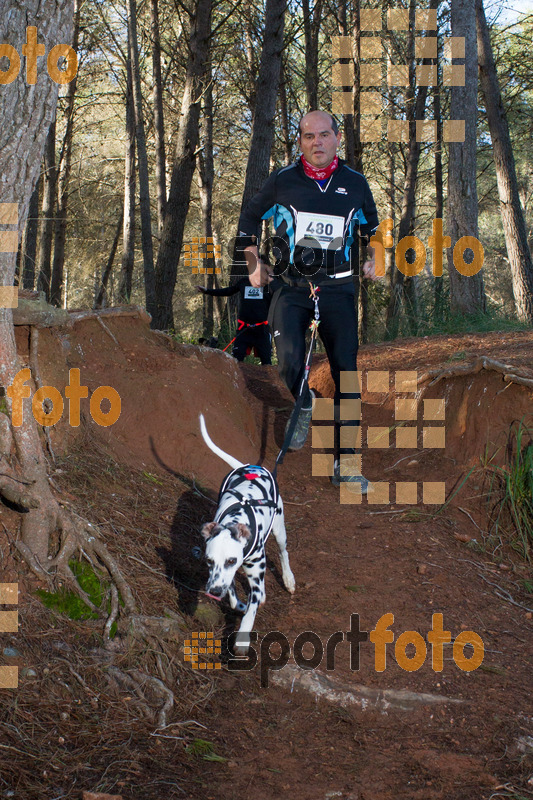 Esport Foto - Esportfoto .CAT - Fotos de II Mitja Marato de Muntanya i Canicross Eramprunyà - Dorsal [480] -   1391364762_BX0C0498.jpg